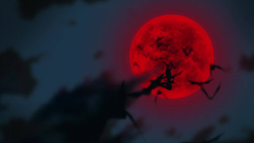 Lune rouge écarlate se levant derrière des silhouettes de branches